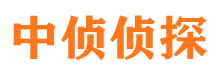 漯河市调查公司